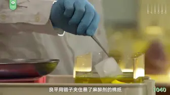 π1040 芭蕾标本
