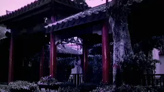新金瓶梅  第四回  全集
