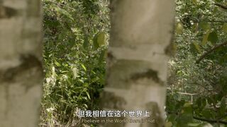 美丽的图画.Picture.of.Beauty.2017.HD1080P.英语中字